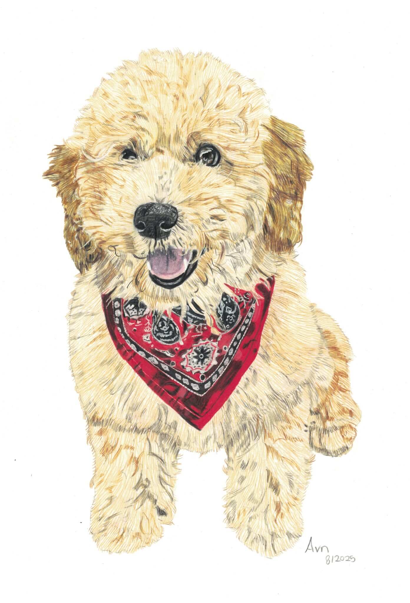 Kleurpotlood tekening van een hond