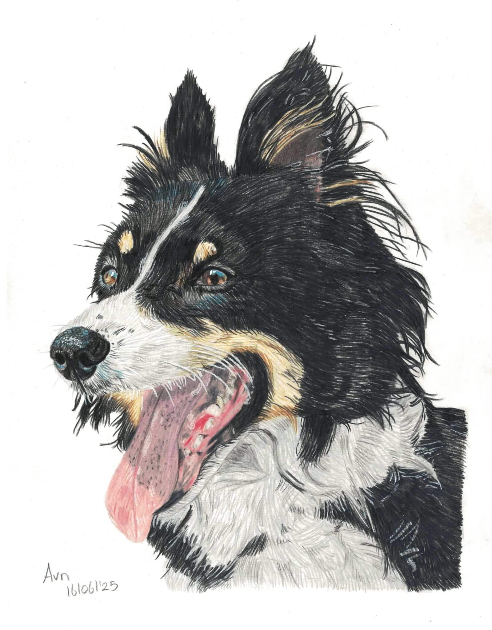 Kleurpotlood tekening van een hond
