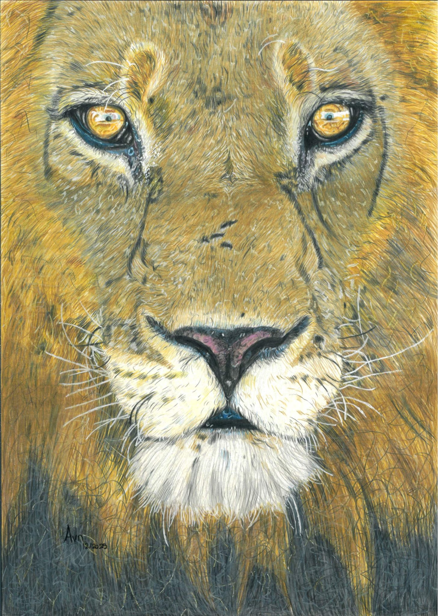 Kleurpotlood tekening van een leeuw